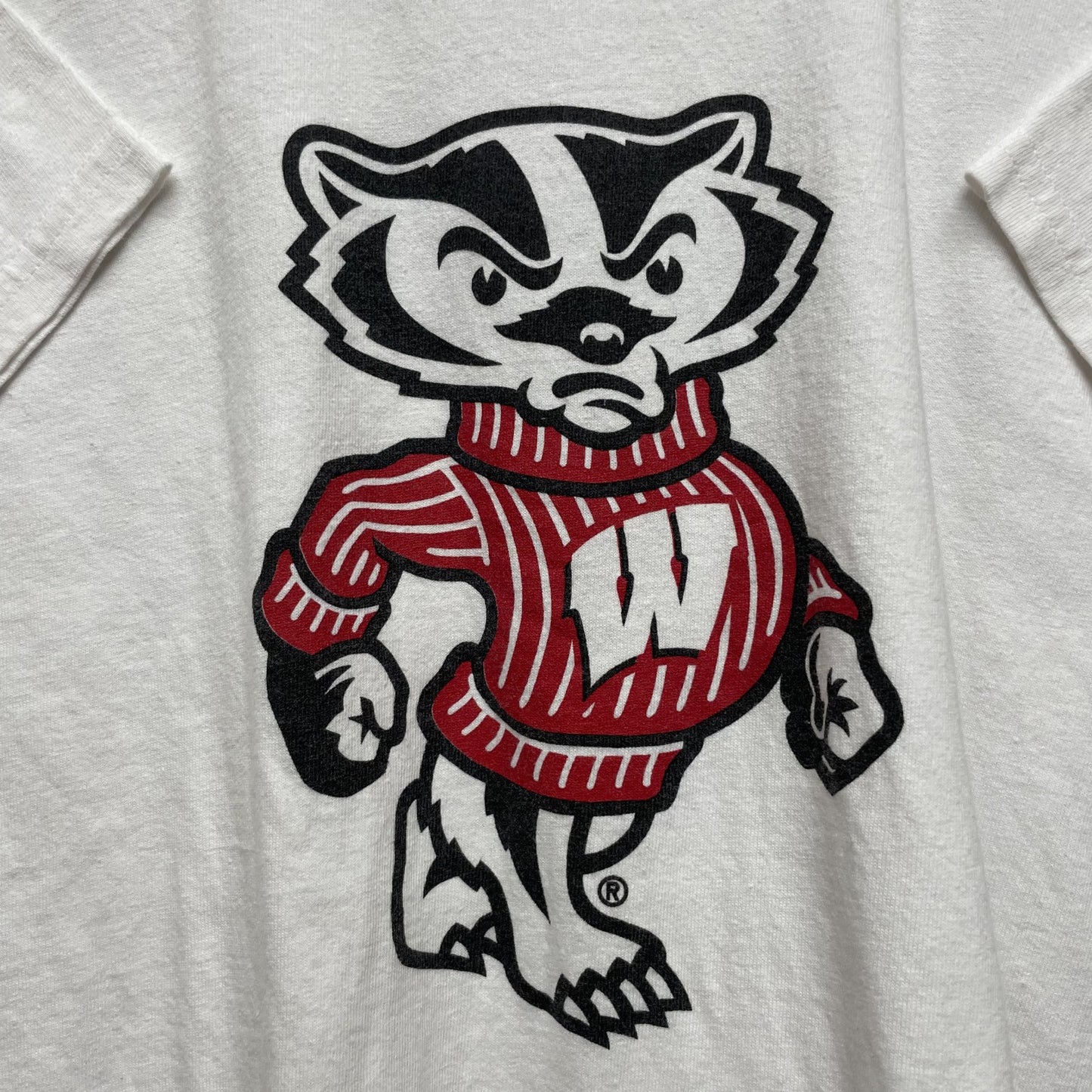 00s vintage 古着 ビンテージ ギルダン GILDAN バッキーバジャー ウィスコンシン BuckyBadger