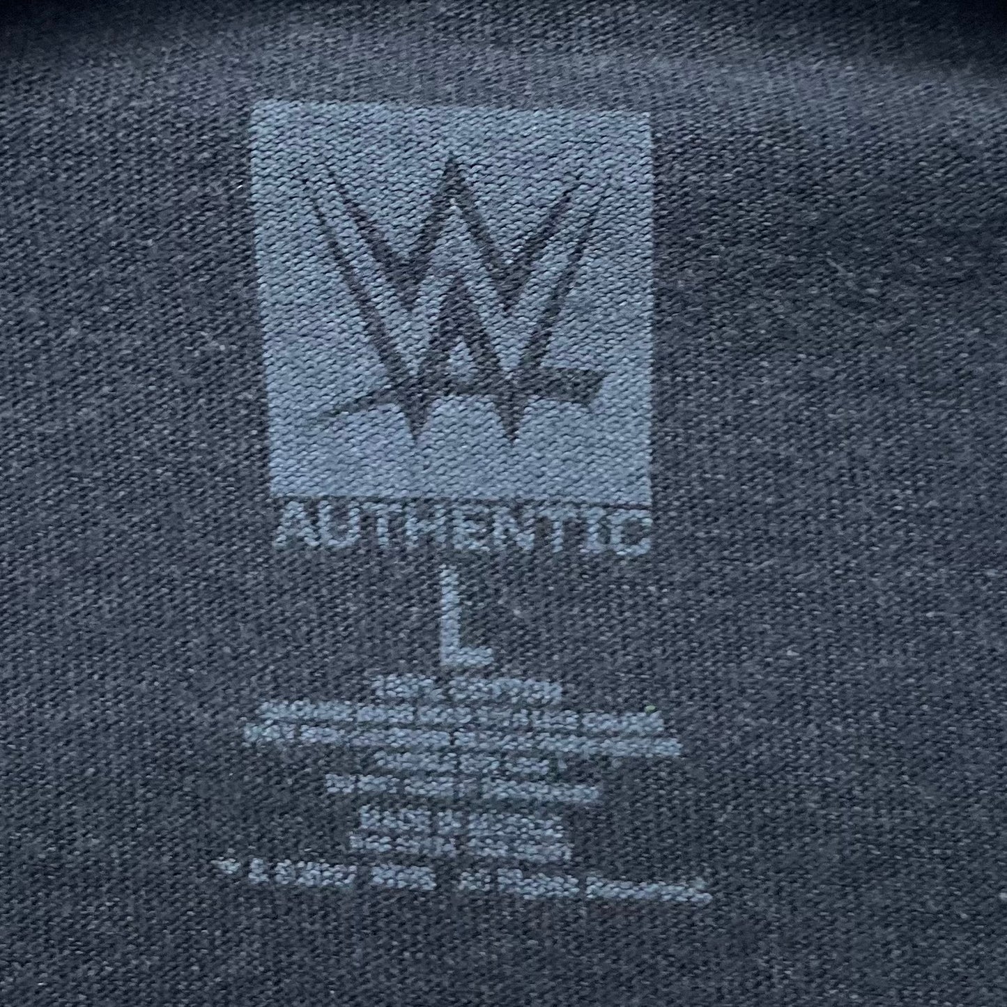 00s vintage 古着　ビンテージ　ワールドレスリング　ブラック　オーバーサイズ　wwf BIGプリント　ストリート