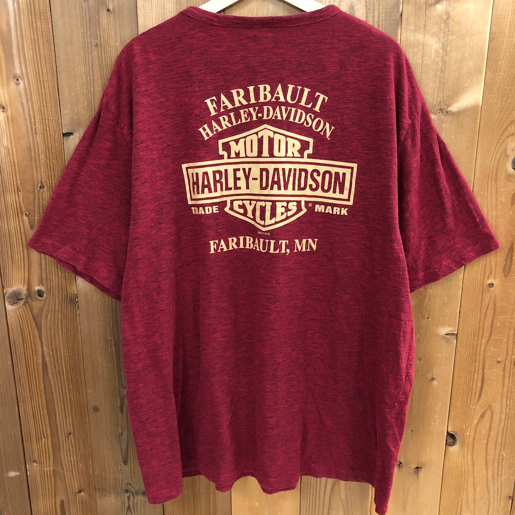 HARLEY-DAVIDSON ハーレーダビットソン スカル プリントTシャツ ドクロ 染み込み 半袖 カットソー