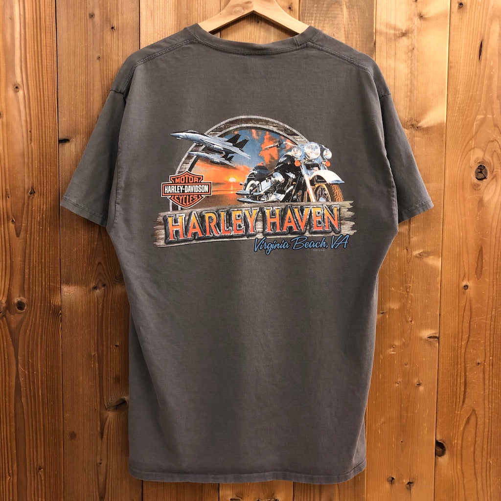 2010年 HANES ヘインズ HARLEY-DAVIDSON ハーレーダビットソン プリントTシャツ 半袖 カットソー