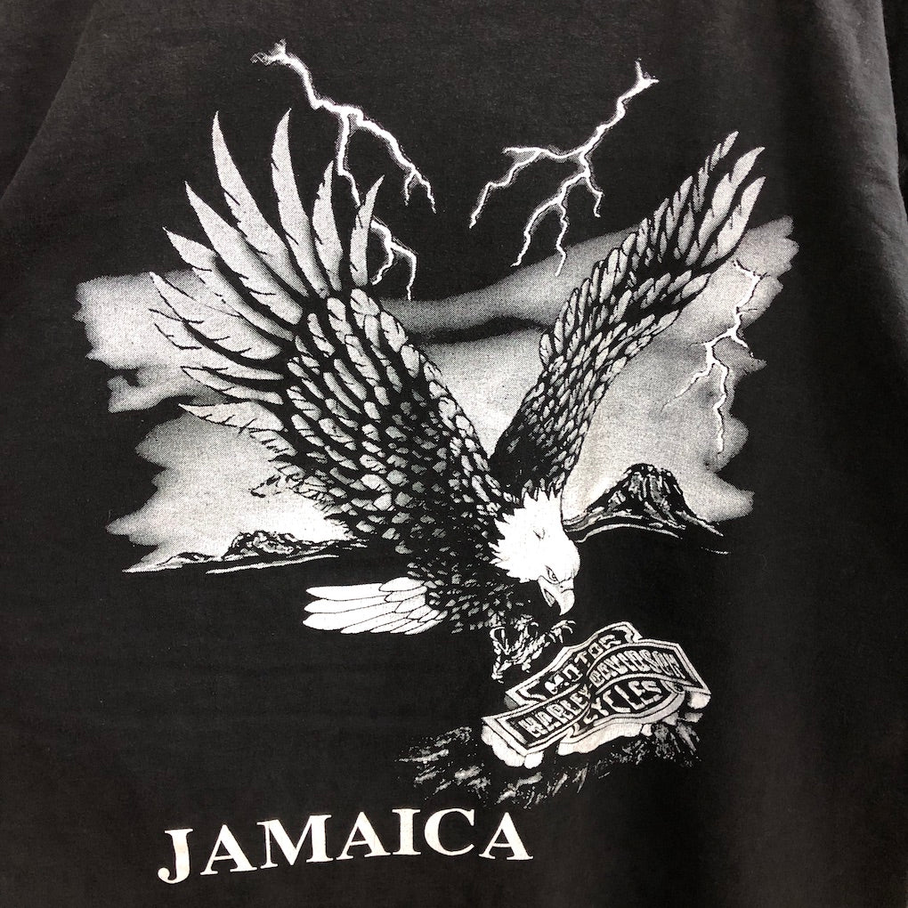 HOT ICE ホット・アイス HARLEY-DAVIDSON ハーレーダビットソン プリントTシャツ 半袖 カットソー ビッグプリント