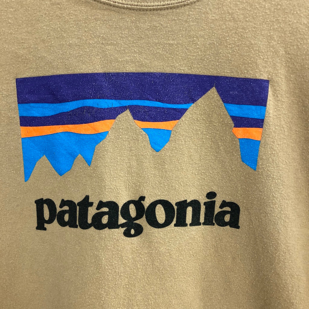 patagonia パタゴニア ロングTシャツ ロンT プリントロゴ