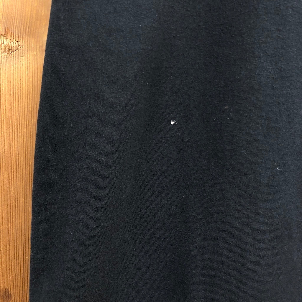 USA製 DELTA PRO WEIGHT デルタプロウェイト Tシャツ 半袖 カットソー ビックプリント バックプリント