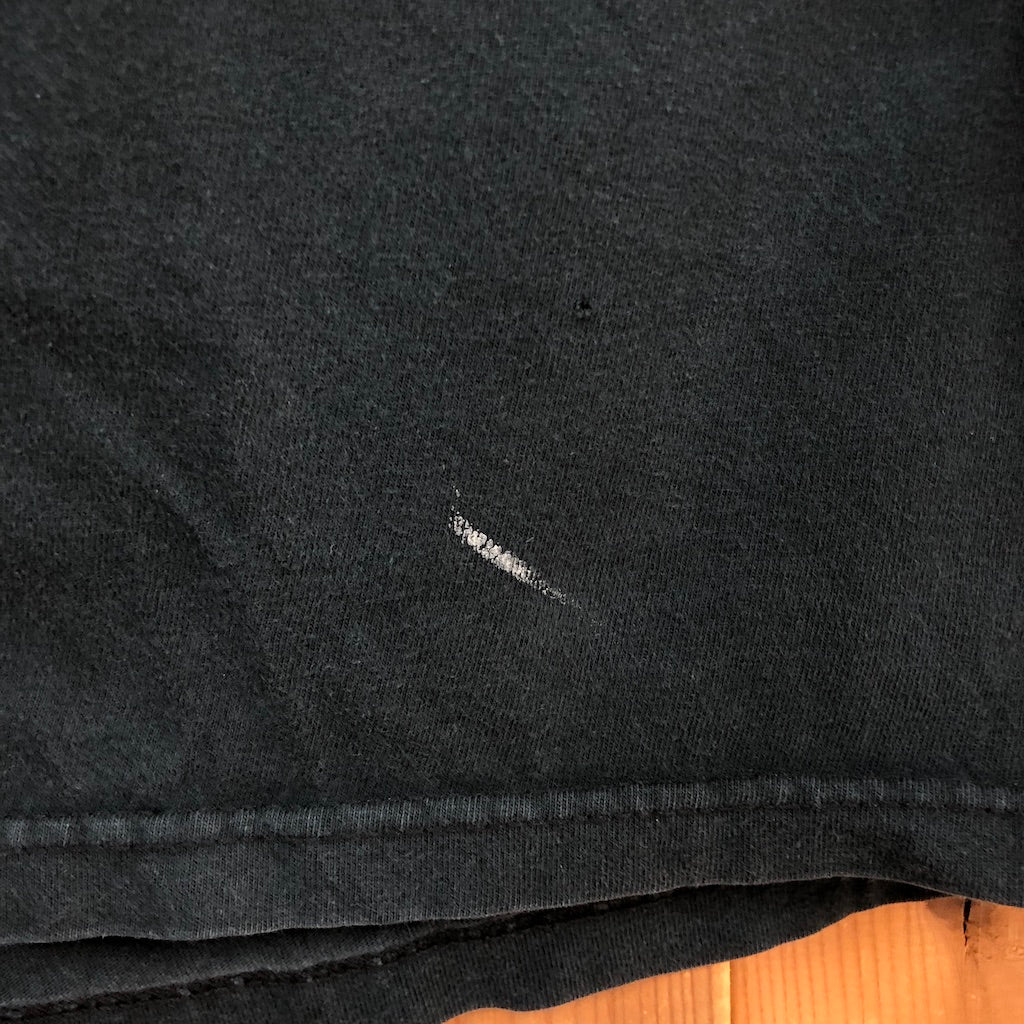 USA製 Hanes ヘインズ HARLEY-DAVIDSON ハーレーダビッドソン Tシャツ 半袖 カットソー 胸ポケット バックプリント