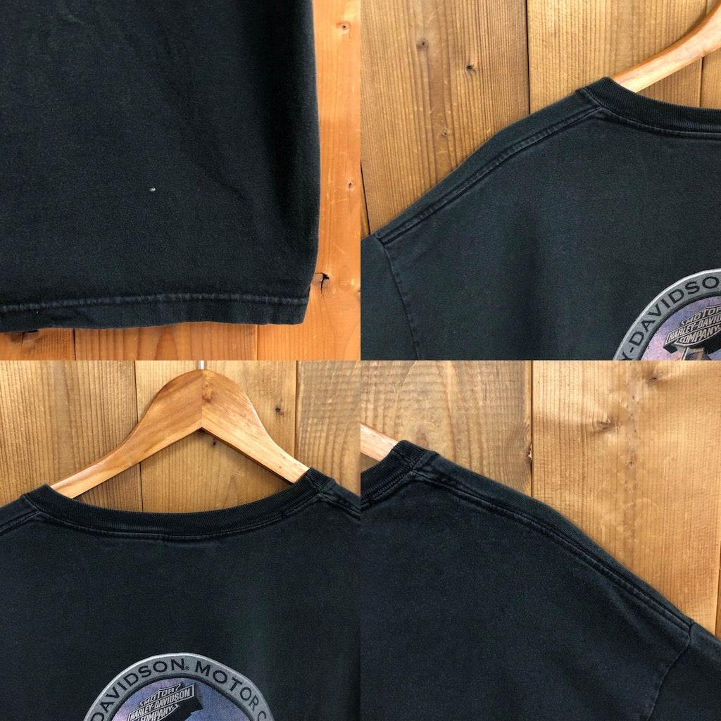 USA製 Hanes ヘインズ HARLEY-DAVIDSON ハーレーダビッドソン Tシャツ 半袖 カットソー 胸ポケット バックプリント