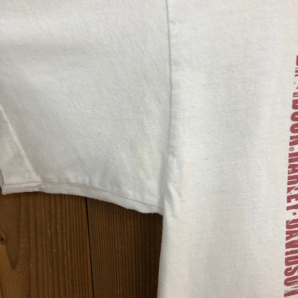 USA製 HARLEY-DAVIDSON ハーレーダビッドソン Tシャツ 半袖 カットソー ビッグプリント アメリカ 国旗 星条旗 2013年