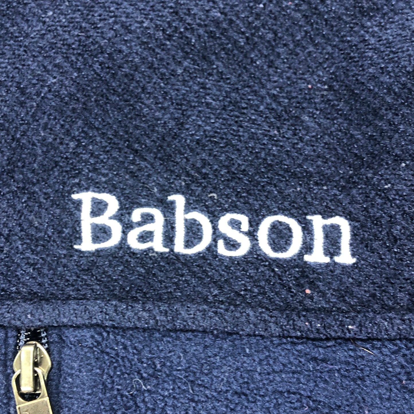 patagonia パタゴニア シンプルシンチラジャケット フリースジャケット フルジップ ジップアップ 刺繍