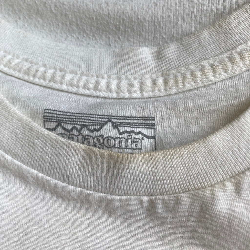patagonia パタゴニア プリントTシャツ 半袖 カットソー Slim Fit