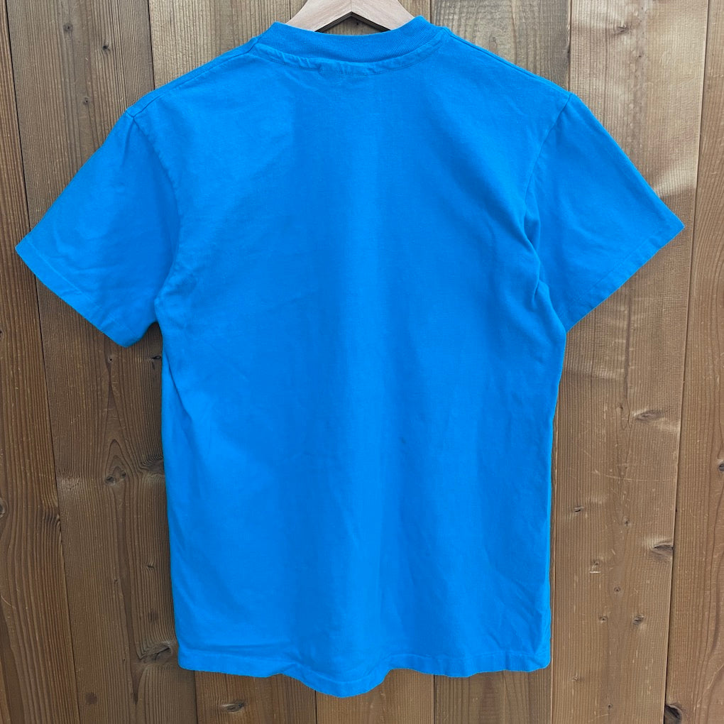 90s vintage USA製 Hanes ヘインズ L.L.Bean エルエルビーン プリントTシャツ 半袖 カットソー コットン