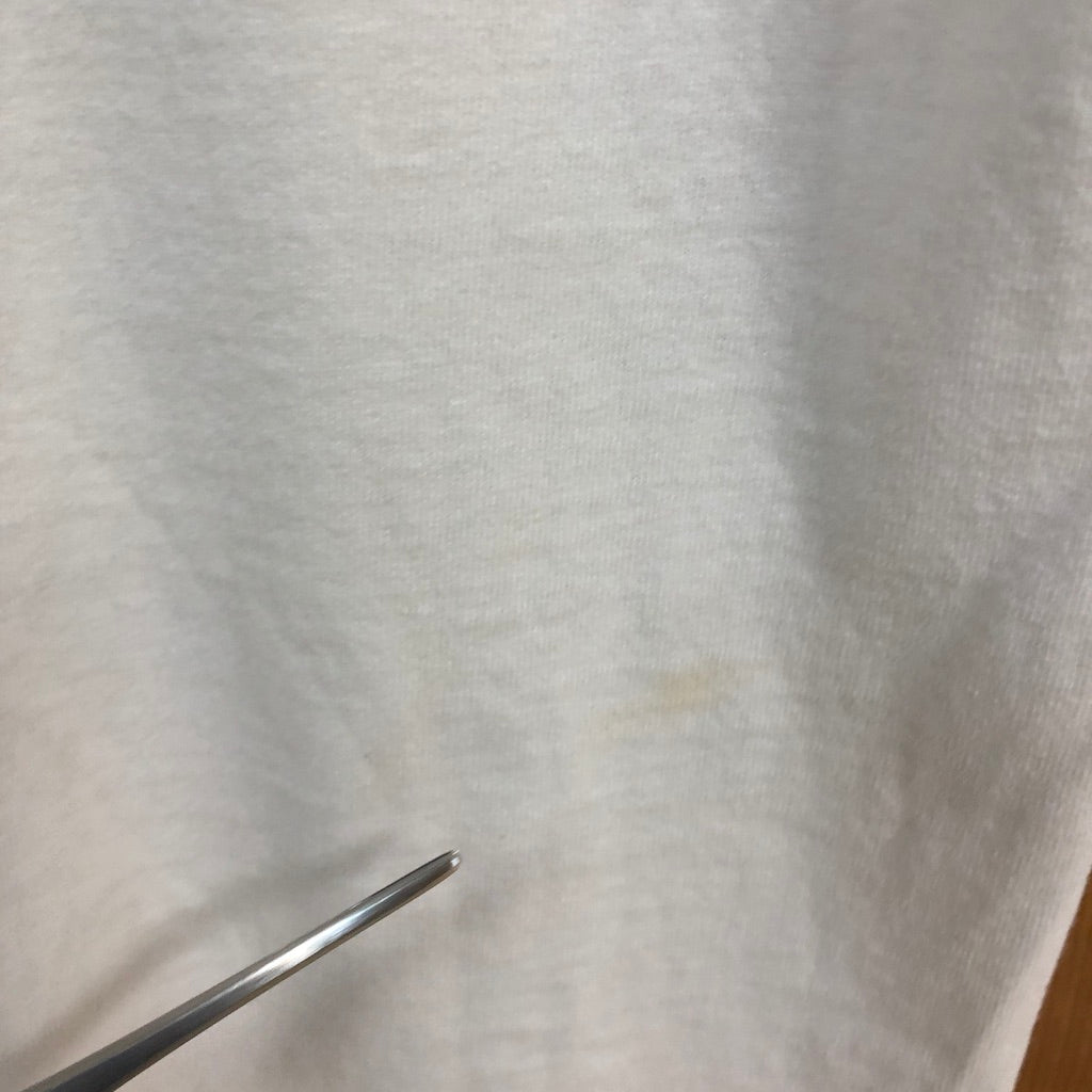 FRUIT OF THE LOOM フルーツオブザルーム NSYNC プリントTシャツ 半袖 カットソー コットン