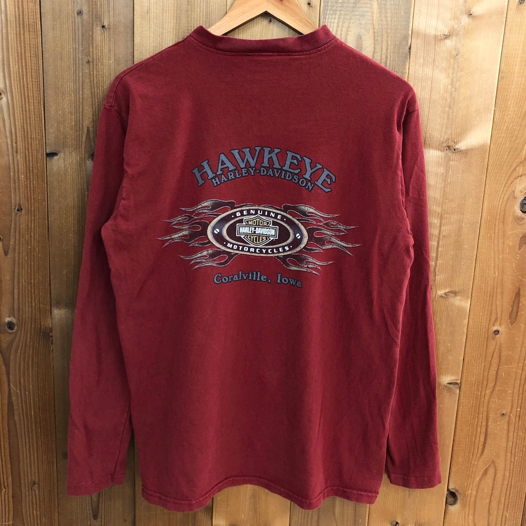HARLEY-DAVIDSON ハーレーダビットソン ロングTシャツ ロンT ヘンリーネック プリント