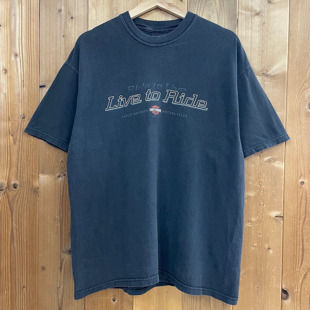 USA製 Hanes ヘインズ HARLEY-DAVIDSON ハーレーダビッドソン Tシャツ 半袖 カットソー バックプリント
