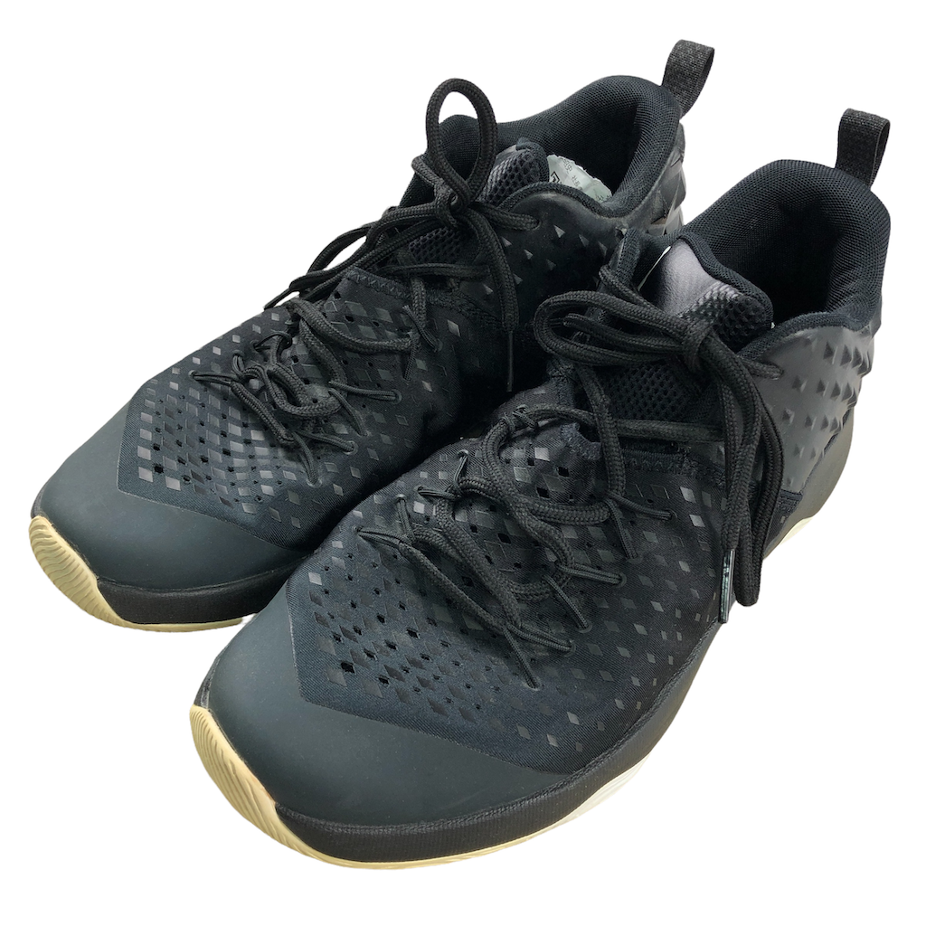 AIR JORDAN エアジョーダン EXTRA FLY エクストラフライ スニーカー