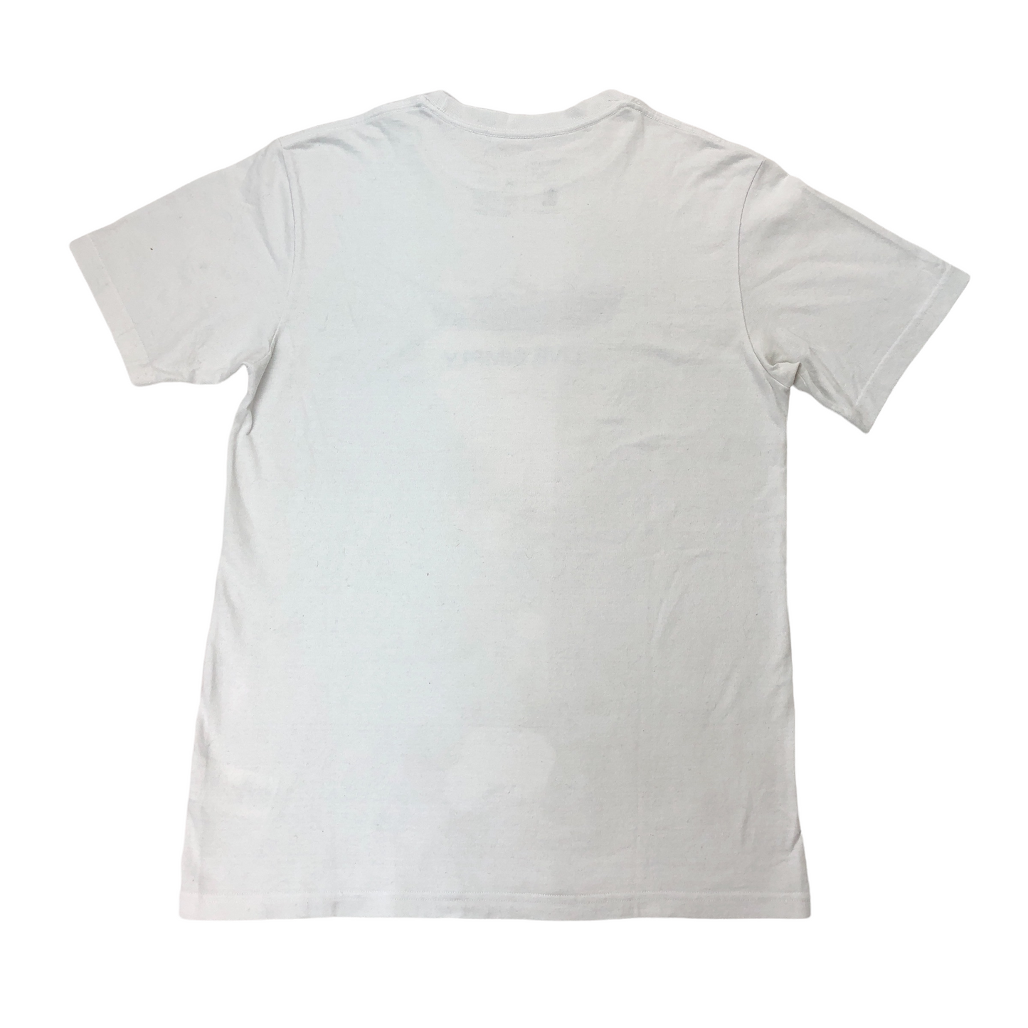 patagonia パタゴニア 半袖 Tシャツ カットソー プリントTシャツ STY39170 SP18