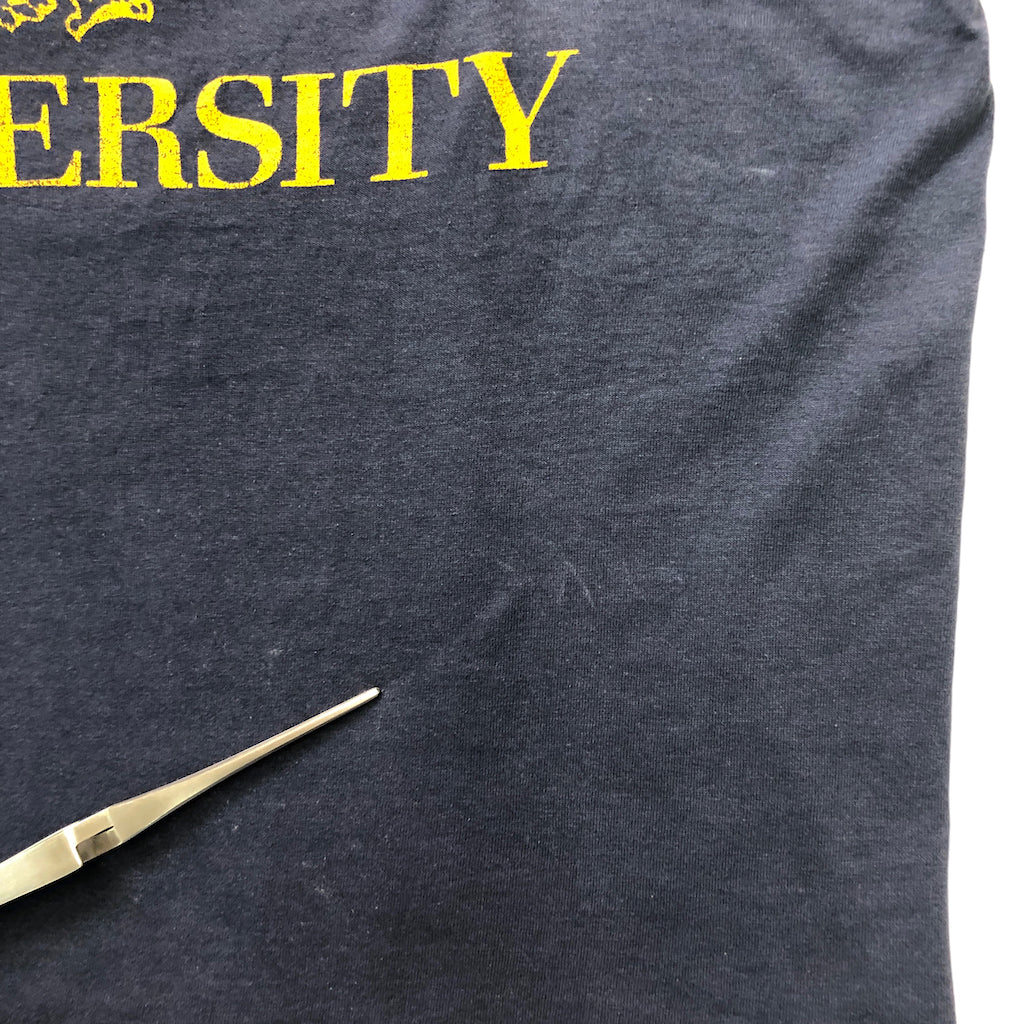 80s vintage USA製 SCREEN STARS スクリーンスターズ CLARION UNIVERSITY クラリオン大学 プリントTシャツ T-shirt 半袖 カットソー シングルステッチ