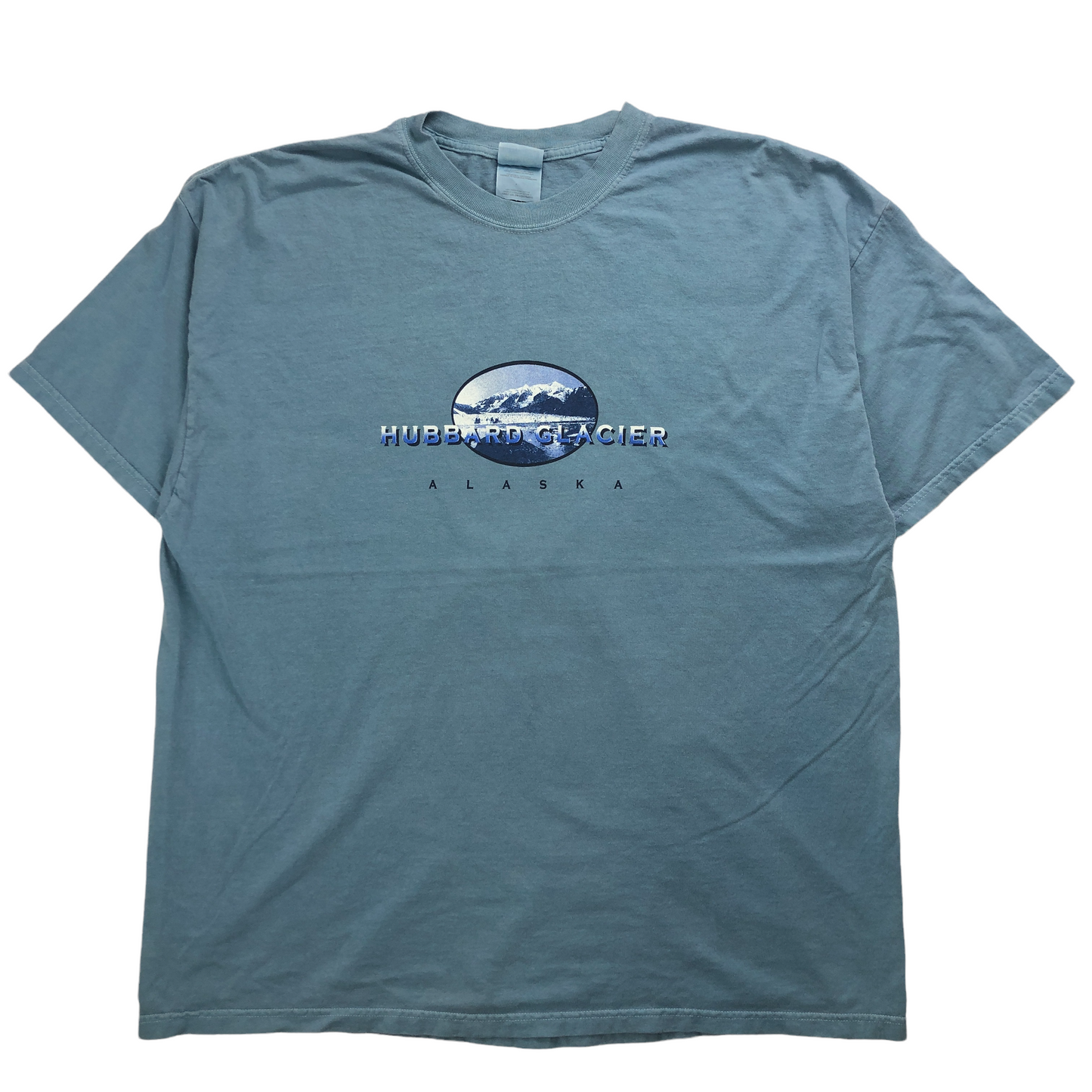 Hanes ヘインズ HUBBARD GLACIER Tシャツ 半袖 カットソー ビッグプリント