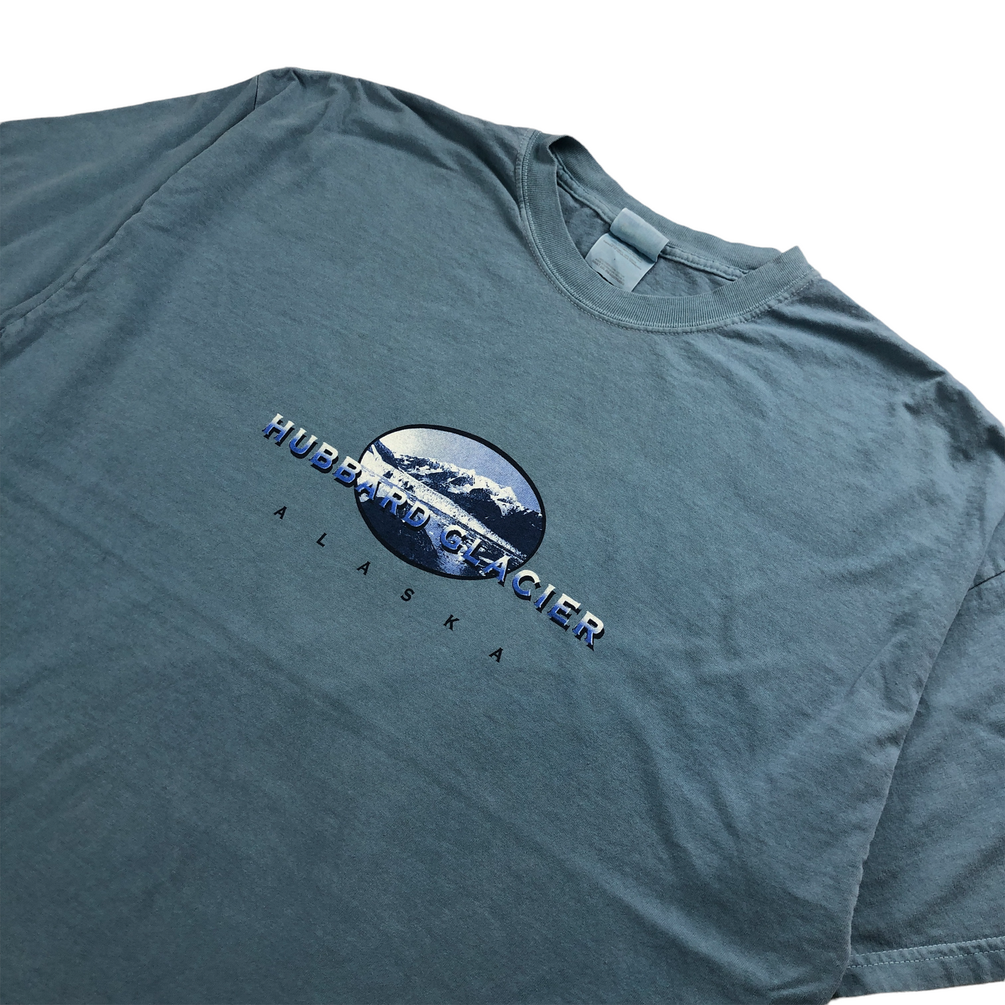 Hanes ヘインズ HUBBARD GLACIER Tシャツ 半袖 カットソー ビッグプリント