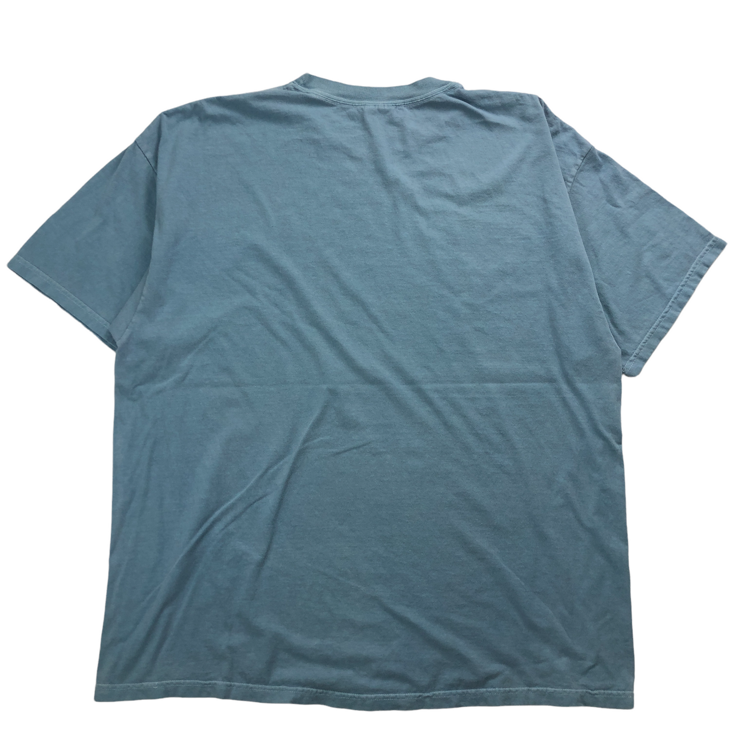 Hanes ヘインズ HUBBARD GLACIER Tシャツ 半袖 カットソー ビッグプリント