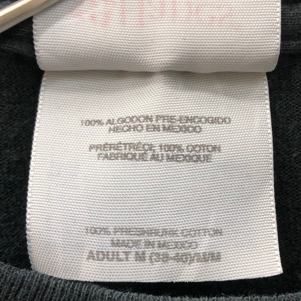00s vintage HANES ヘインズ Seasons in the Abyss シーズンズインジアビス SLAYER スレイヤー プリントTシャツ 半袖 カットソー バンドT 2004年