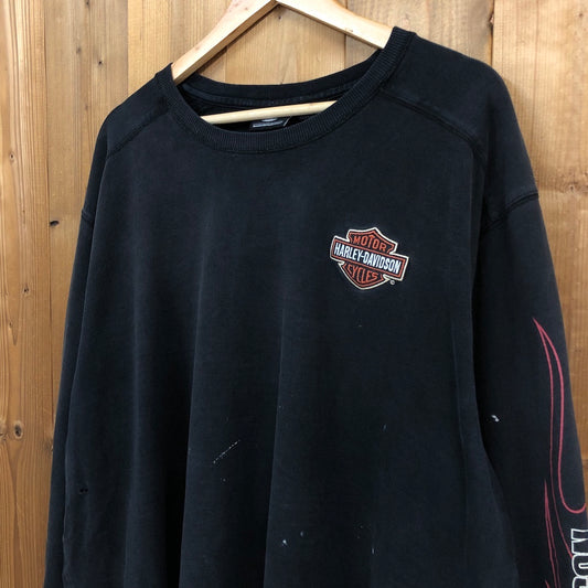 HARLEY-DAVIDSON ハーレーダビッドソン ロンT ロングTシャツ 長袖Tシャツ バックプリント アームプリント ブラック