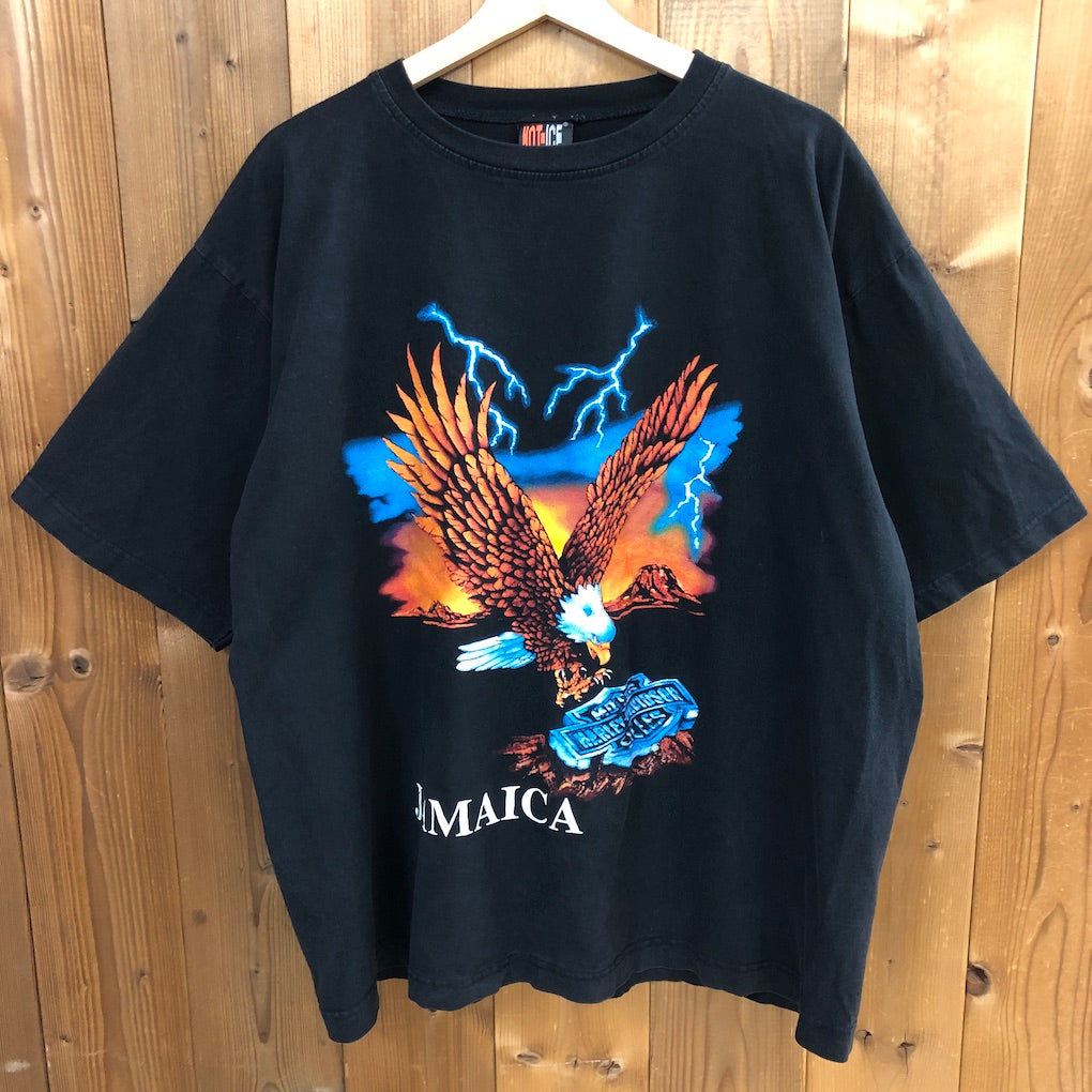 HOT ICE ホット・アイス HARLEY-DAVIDSON ハーレーダビットソン プリントTシャツ 半袖 カットソー ビッグプリント