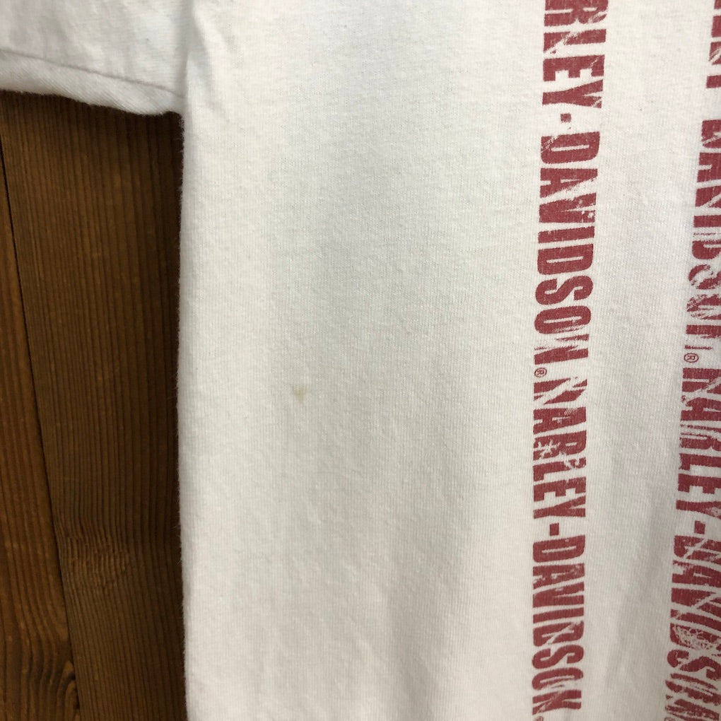 USA製 HARLEY-DAVIDSON ハーレーダビッドソン Tシャツ 半袖 カットソー ビッグプリント アメリカ 国旗 星条旗 2013年