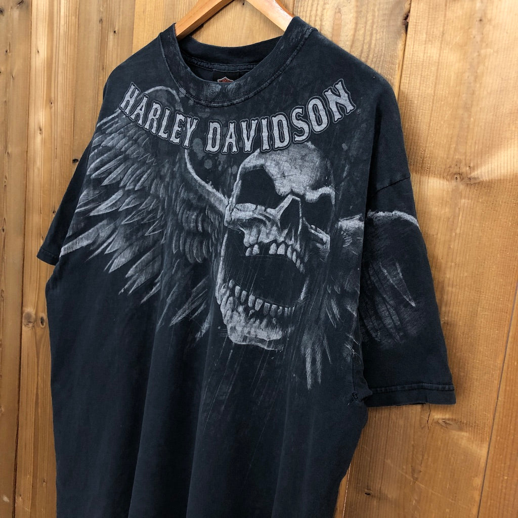 Hanes ヘインズ HARLEY-DAVIDSON ハーレーダビットソン ビッグプリント スカル プリントTシャツ 半袖 カットソー