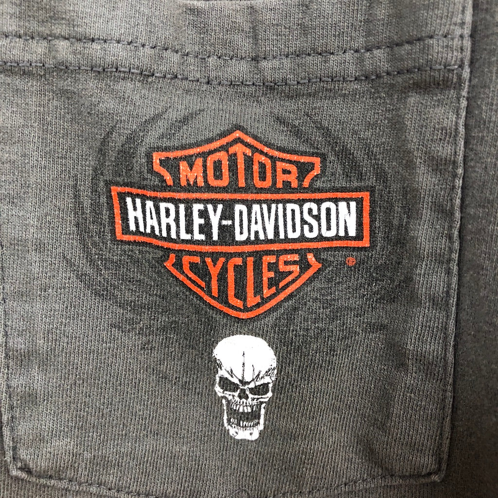 2010年 HANES ヘインズ HARLEY-DAVIDSON ハーレーダビットソン プリントTシャツ 半袖 カットソー