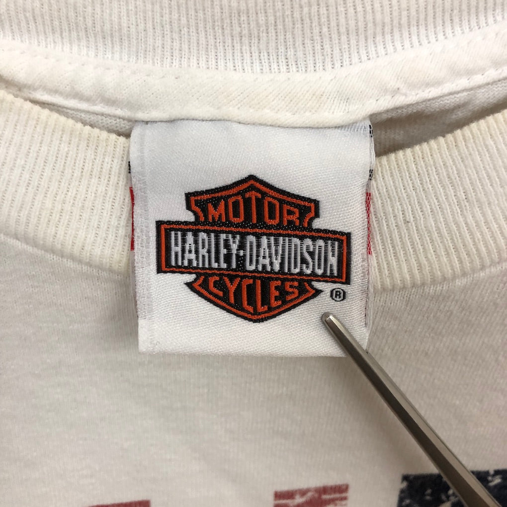 USA製 HARLEY-DAVIDSON ハーレーダビッドソン Tシャツ 半袖 カットソー ビッグプリント アメリカ 国旗 星条旗 2013年