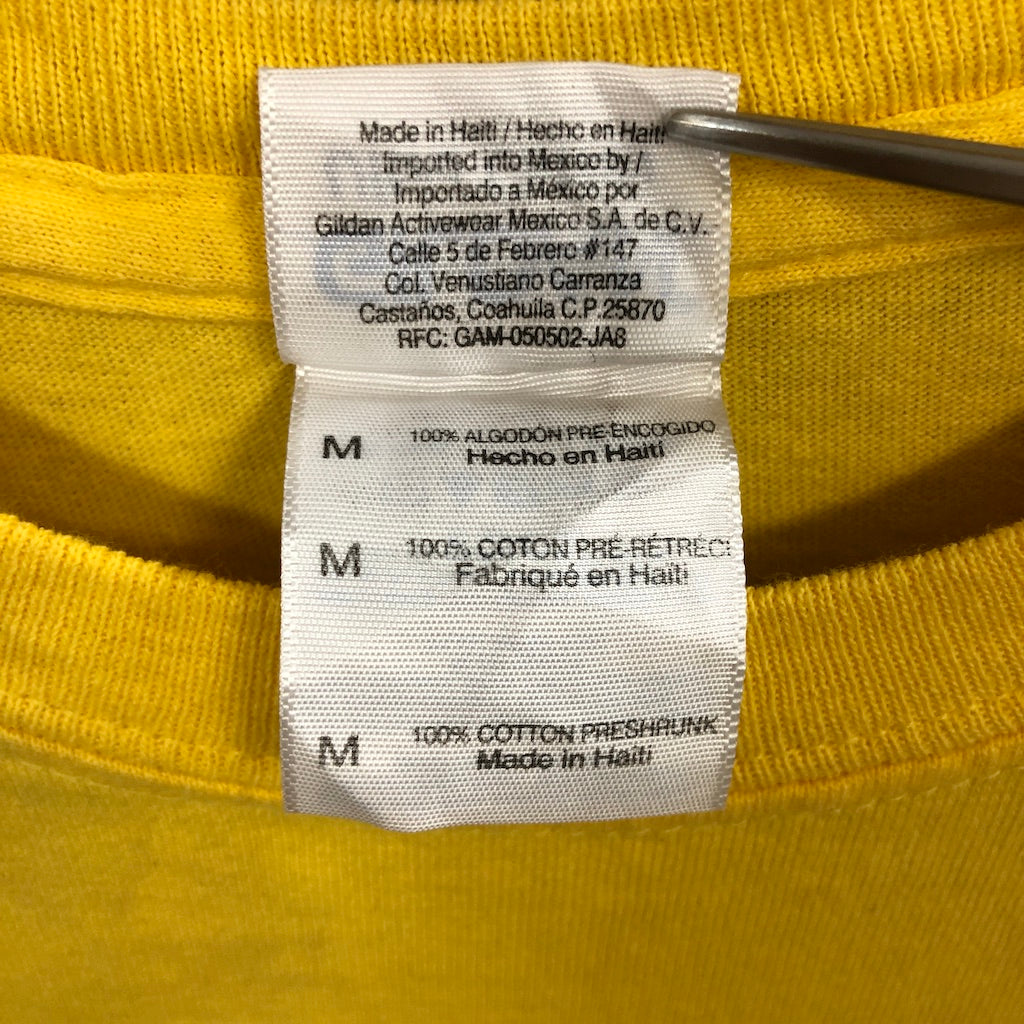 GILDAN ギルダン Pokemon ポケモン Tシャツ 半袖 カットソー キャラクターTシャツ ビッグプリント バックプリント