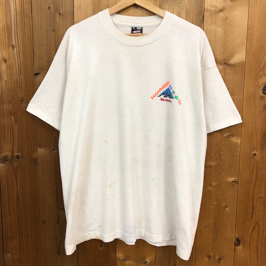 90s vintage USA製 BEST FRUITS OF THE LOOM ベスト フルーツオブザルーム プリントTシャツ 半袖 カットソー