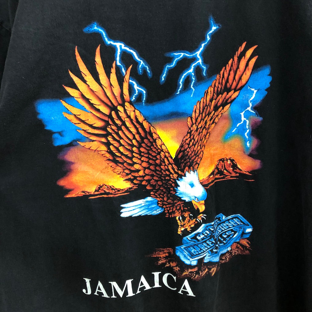 HOT ICE ホット・アイス HARLEY-DAVIDSON ハーレーダビットソン プリントTシャツ 半袖 カットソー ビッグプリント