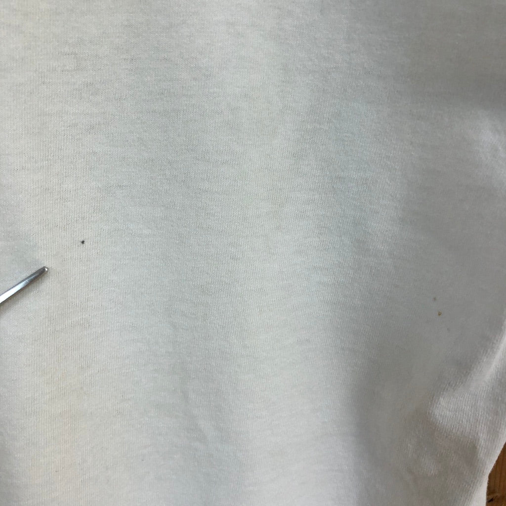 FRUIT OF THE LOOM フルーツオブザルーム NSYNC プリントTシャツ 半袖 カットソー コットン