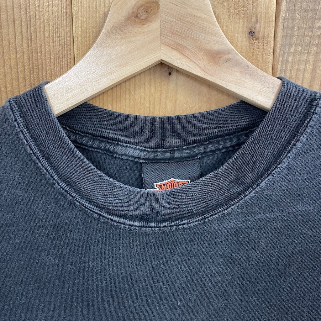 USA製 Hanes ヘインズ HARLEY-DAVIDSON ハーレーダビッドソン Tシャツ 半袖 カットソー バックプリント