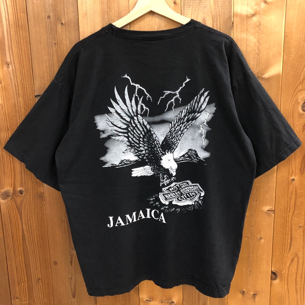 HOT ICE ホット・アイス HARLEY-DAVIDSON ハーレーダビットソン プリントTシャツ 半袖 カットソー ビッグプリント