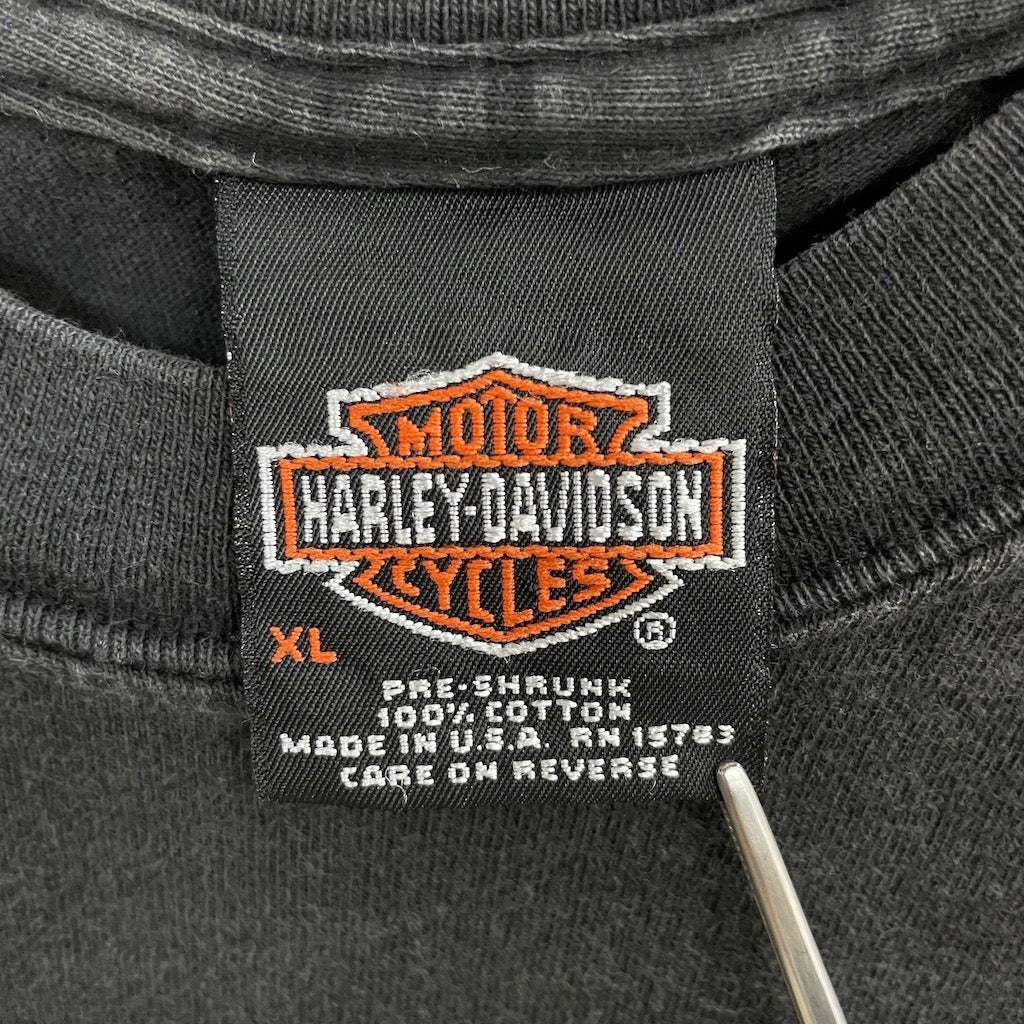 USA製 Hanes ヘインズ HARLEY-DAVIDSON ハーレーダビッドソン Tシャツ 半袖 カットソー バックプリント