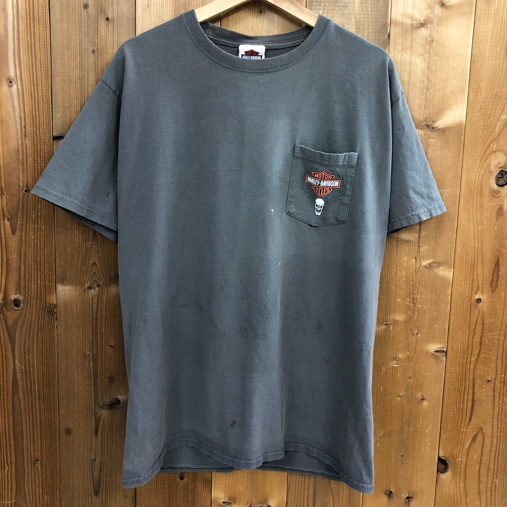 2010年 HANES ヘインズ HARLEY-DAVIDSON ハーレーダビットソン プリントTシャツ 半袖 カットソー