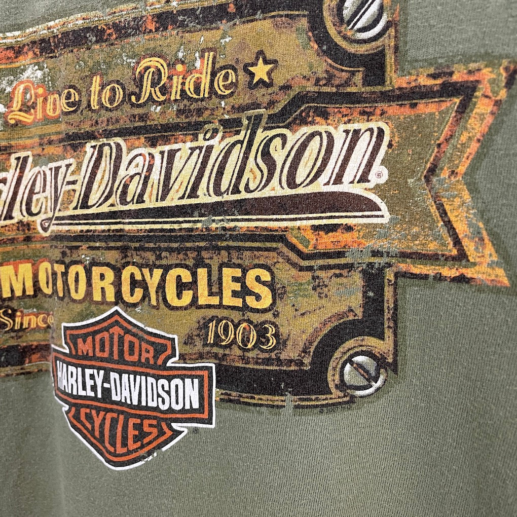 HARLEY-DAVIDSON ハーレーダビッドソン プリントTシャツ 半袖 カットソー ビッグプリント バックプリント2005年