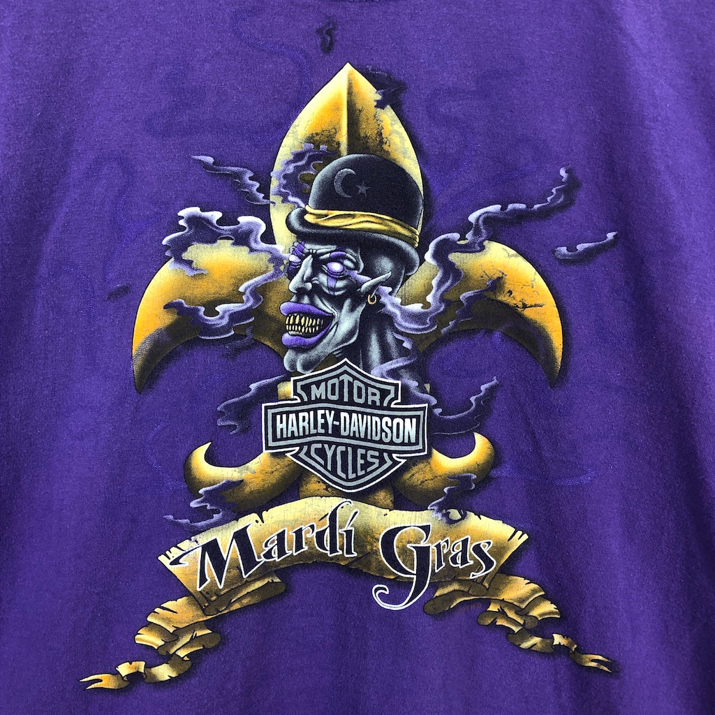 2010年-2011年 HARLEY-DAVIDSON ハーレーダヴィットソン Hanes ヘインズ BEEFY-T ビーフィーT  Mardi Gras マルディグラ Tシャツ 半袖 カットソー プリントTシャツ