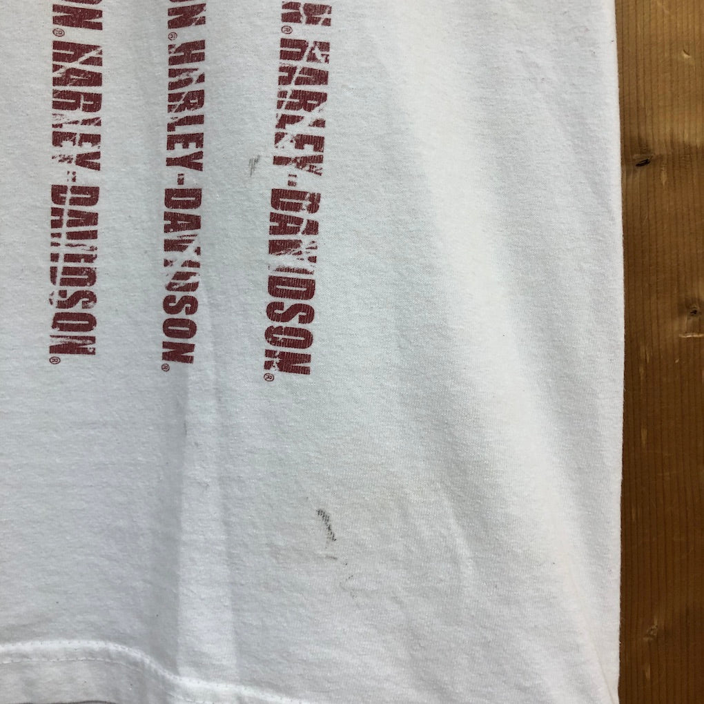 USA製 HARLEY-DAVIDSON ハーレーダビッドソン Tシャツ 半袖 カットソー ビッグプリント アメリカ 国旗 星条旗 2013年