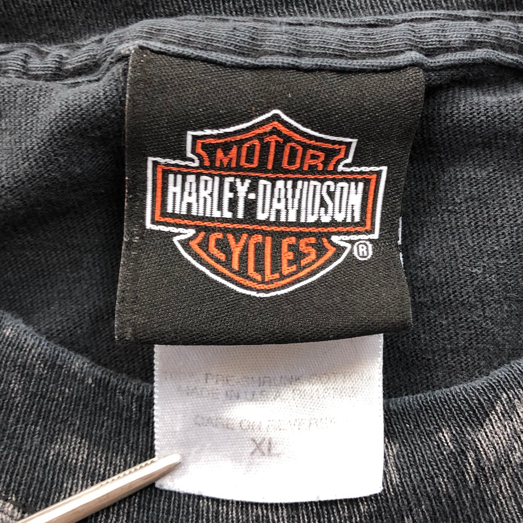 Hanes ヘインズ HARLEY-DAVIDSON ハーレーダビットソン ビッグプリント スカル プリントTシャツ 半袖 カットソー