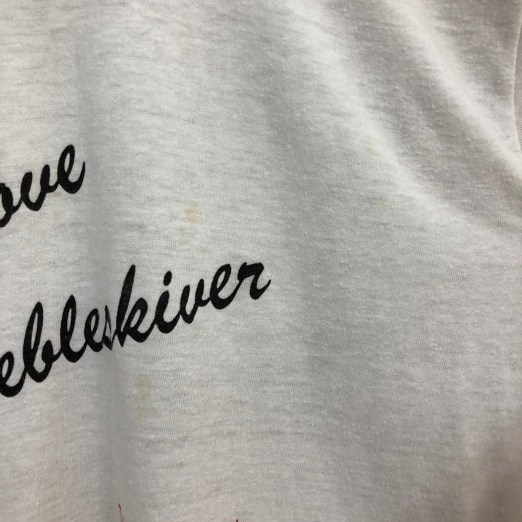 USA製 80s vintage Healthknit ヘルスニット リンガーTシャツ 半袖 カットソー ビッグプリント