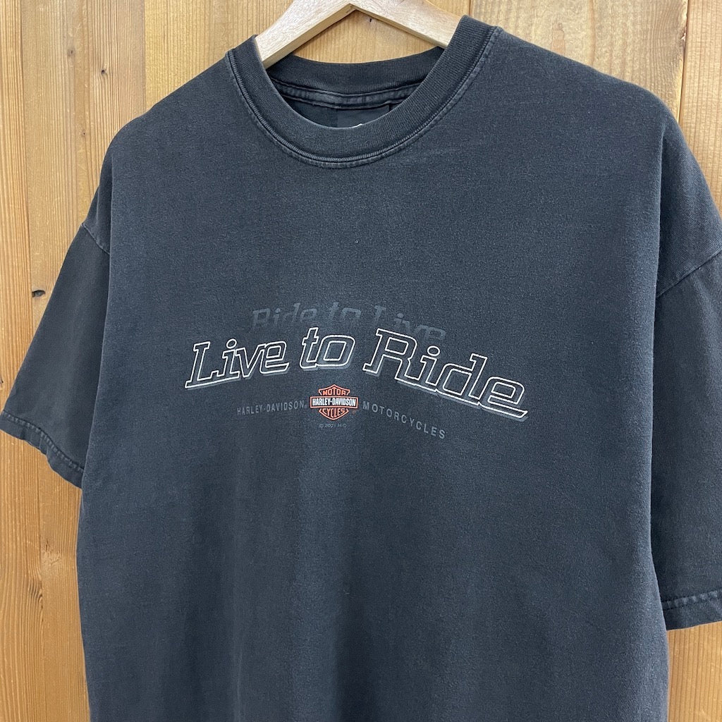 USA製 Hanes ヘインズ HARLEY-DAVIDSON ハーレーダビッドソン Tシャツ 半袖 カットソー バックプリント