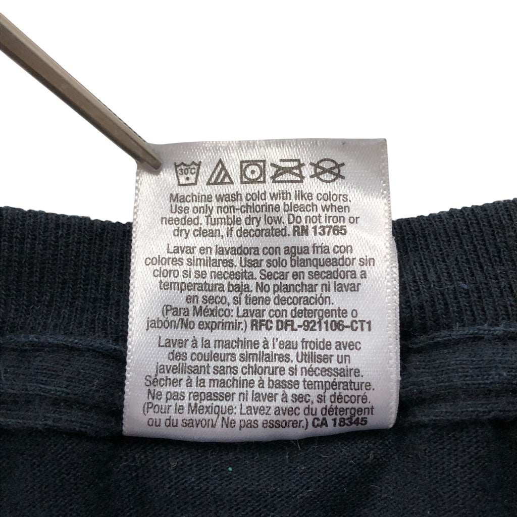 FRUIT OF THE LOOM フルーツオブザルーム STURGIS スタージス プリントTシャツ 半袖 カットソー バイク 2013年