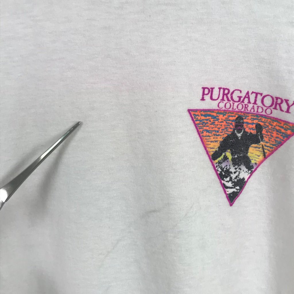 90s vintage USA製 ONEITA オニータ プリントTシャツ PURGATORY COLORADO パーガトリー コロラド リゾートT 古着/USED