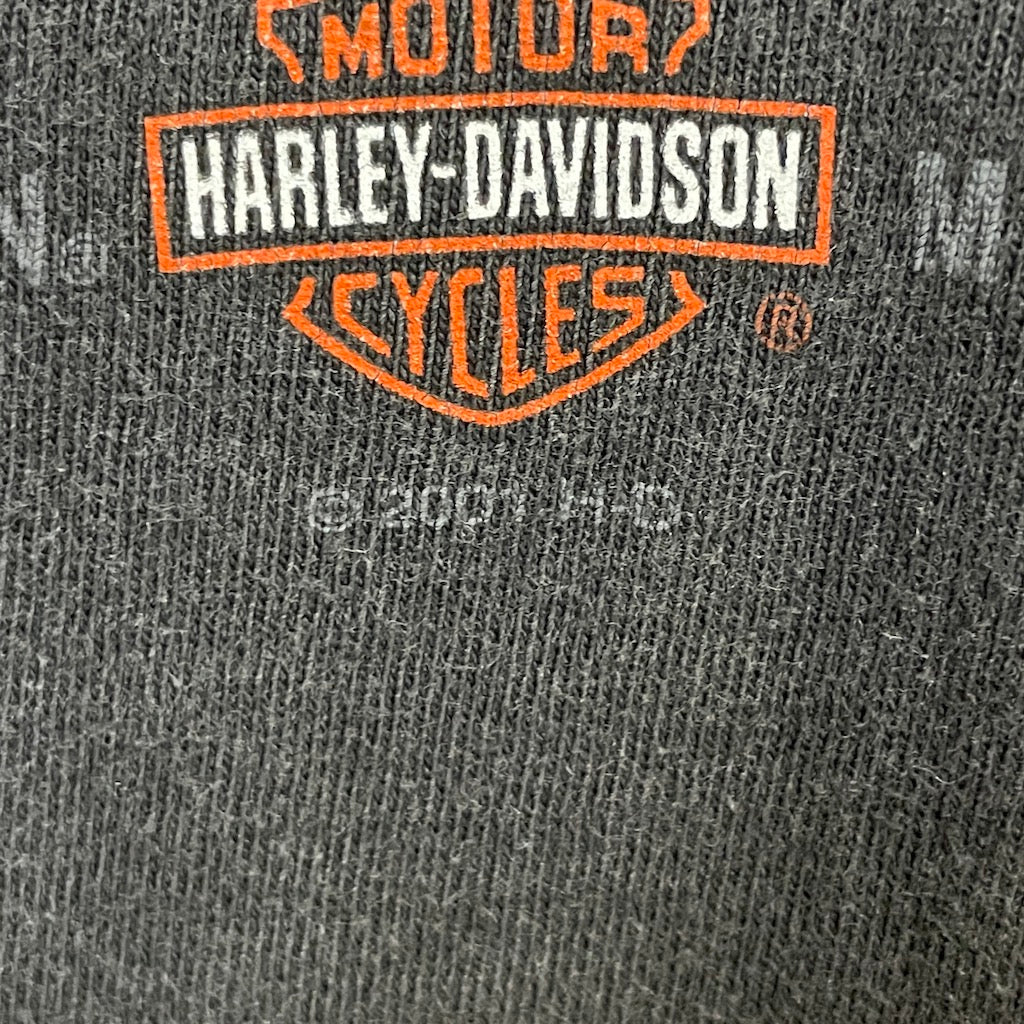 USA製 Hanes ヘインズ HARLEY-DAVIDSON ハーレーダビッドソン Tシャツ 半袖 カットソー バックプリント