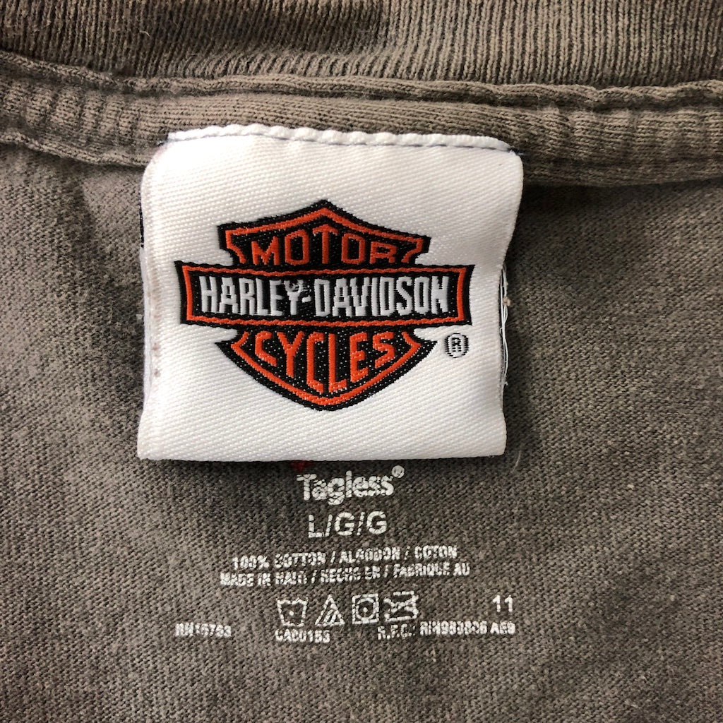 2010年 HANES ヘインズ HARLEY-DAVIDSON ハーレーダビットソン プリントTシャツ 半袖 カットソー