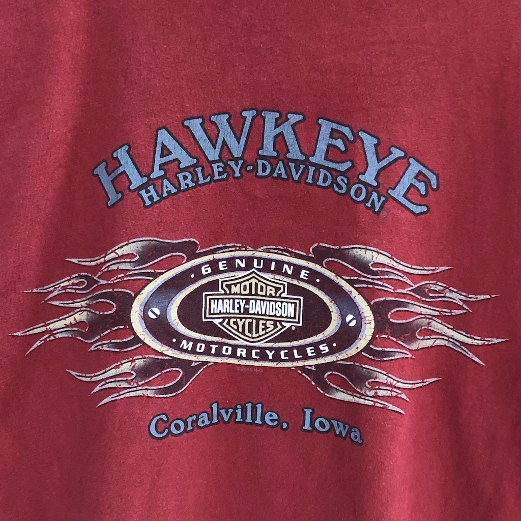 HARLEY-DAVIDSON ハーレーダビットソン ロングTシャツ ロンT ヘンリーネック プリント